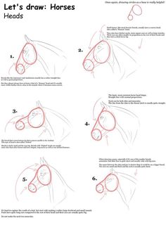 how to draw horses step by step