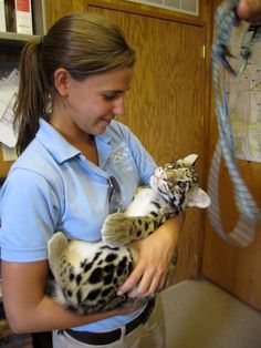 a woman holding a cat in her arms while wearing a blue shirt and white pants