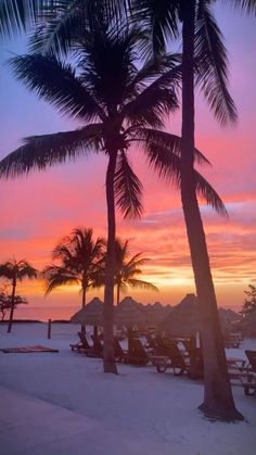 the sun is setting behind some palm trees on the beach with lounge chairs and umbrellas