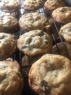 chocolate chip cookies cooling on a rack