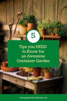 a table with potted plants and gardening tools on it that says 5 tips you need to know for an awesome container garden