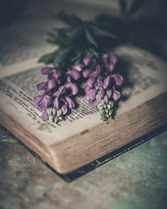 purple flowers are laying on top of an open book, with leaves sticking out of it