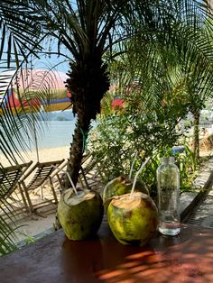 two coconuts sitting on top of a wooden table next to a palm tree and water