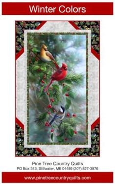 a red cardinal bird sitting on top of a pine tree next to a white background