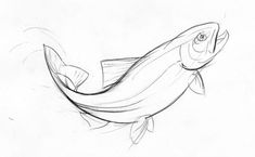 a pencil drawing of a fish