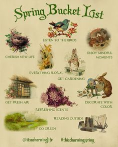 the spring bucket list is shown in green and white, with pictures of birds, flowers,