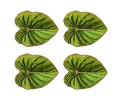 Kim Seybert Luxury Tropicana Drink Coasters in Green Kim Seybert, Candle Box, Tropical Leaf, Garden Stool, Gift Product, Beautiful Clothes, Vibrant Green, Wood Slices, Beaded Bags