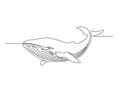 a drawing of a humpback whale swimming in the ocean with it's mouth open