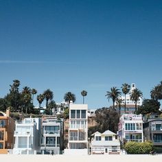 houses on the beach with palm trees and blue skies in the background, near san francisco