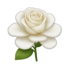 a white rose with green leaves on a white background