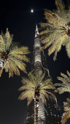 the burj building is lit up at night, with palm trees in front