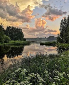 the sun is setting over a lake with flowers in front of it and clouds above