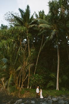 a man and woman standing in front of palm trees on the shore of a river