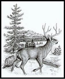 a black and white drawing of a deer in front of a pine tree with a house on it