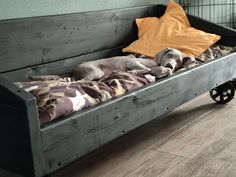 a dog laying on top of a wooden bed