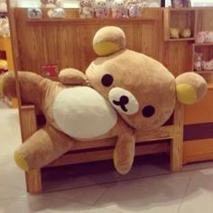 a large brown teddy bear laying on top of a wooden bench in front of shelves