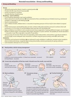 the instructions on how to use an electronic device for breathing and hand gestures, with text below