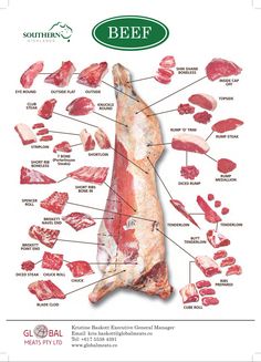 an image of beef cuts and their names