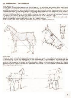 the instructions for how to draw a horse