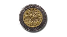 a coin with the image of a palm tree on it's side, in front of a white background