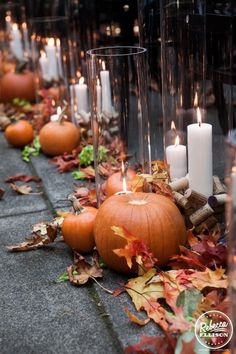 pumpkins and candles are lined up on the ground