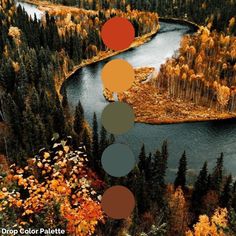 an aerial view of a river surrounded by trees with oranges and yellows on them