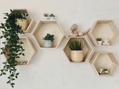 four hexagonal shelves with plants and stuffed animals on them, hanging from the wall