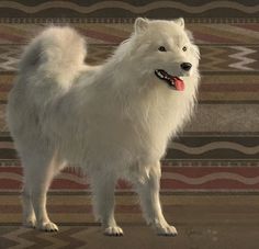 a white dog standing on top of a rug