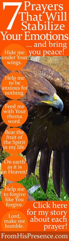 an eagle with its wings spread out and the words 7 prayers that will stabilize your emotions