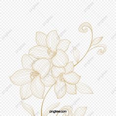 an image of flowers on a white background with gold lines and swirls in the middle