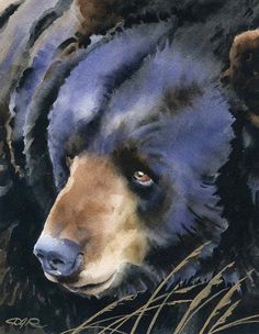 a watercolor painting of a black bear with blue eyes and brown fur on it's head