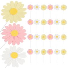 flowers are arranged in rows on a white background, including one pink and one yellow daisy