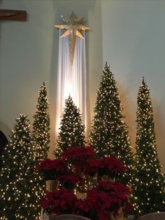 christmas trees with lights and decorations in front of a star on the wall behind them