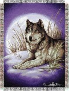 a wolf is laying down in the snow under a full moon with grass and reeds