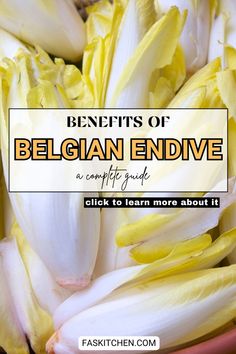 A fresh, crisp Belgian endive with pale yellow-white leaves tightly packed together, sitting on a clean kitchen counter. The endive's elongated, smooth shape is perfect for a salad, side dish, or wrap, highlighting its versatility in healthy recipes. Endive Appetizers, Carb Substitutes, Endive Recipes, Belgian Endive, Endive Salad, Winter Salad