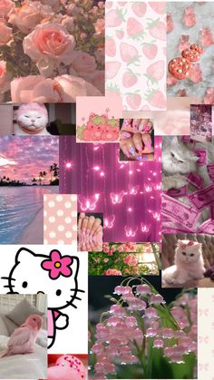 a collage with pink flowers and hello kitty pictures