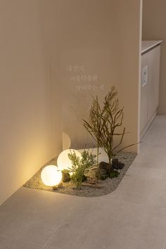 a plant is growing in the corner of a room next to a wall with writing on it