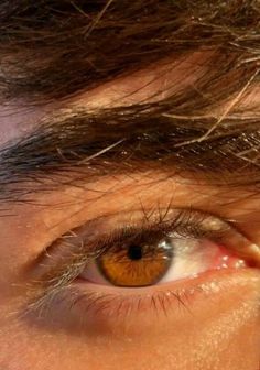 shatter me Hazel Brown Eyes Men, Brown Hair Brown Eyes Guy Aesthetic, Brown Eyes Aesthetic Male, Light Brown Eyes Men, Amber Eyes Men, Honey Brown Eyes Aesthetic, Hazel Eyes Men, Men With Freckles, Brown Eyes Men