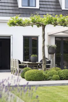 an outdoor dining area in front of a house with potted plants on the patio