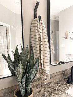 a potted plant sitting on top of a bathroom counter next to a mirror and sink