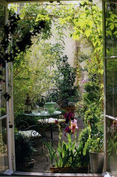 an open door leading into a garden with potted plants