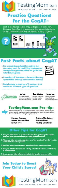 the info sheet shows different types of boats