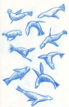 several different types of sea animals drawn in blue pencil on white paper, each with an individual's head and body