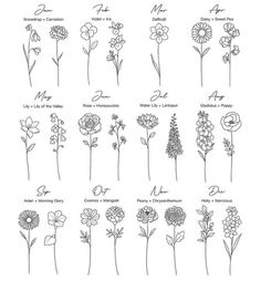 flowers are arranged in different ways to describe the names and meaningss of each flower