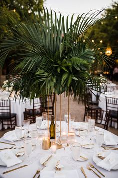 a table set up with white plates and silverware, palm tree centerpieces