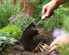 someone is digging in the dirt with a shovel