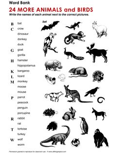 an animal and bird worksheet with the words in each letter, which are