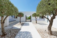 an outdoor courtyard with trees and gravel