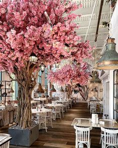 a large tree with pink flowers is in the middle of a restaurant