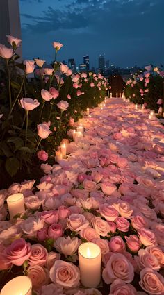 rows of roses and candles are lined up on the ground in front of a cityscape